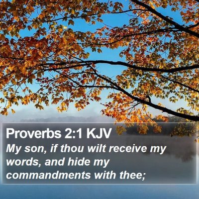 Proverbs 2:1 KJV Bible Verse Image