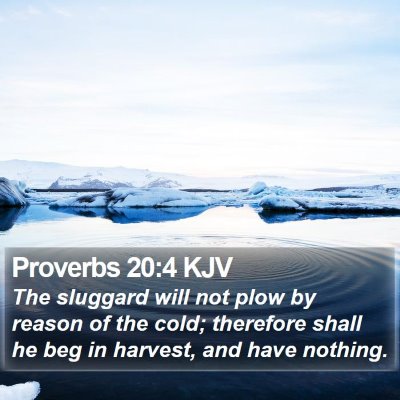 Proverbs 20:4 KJV Bible Verse Image