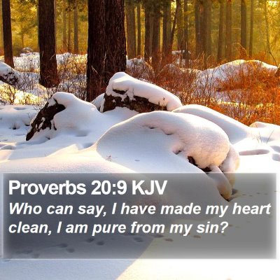 Proverbs 20:9 KJV Bible Verse Image