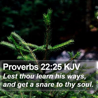 Proverbs 22:25 KJV Bible Verse Image