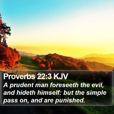 Proverbs 22:3 KJV Bible Verse Image