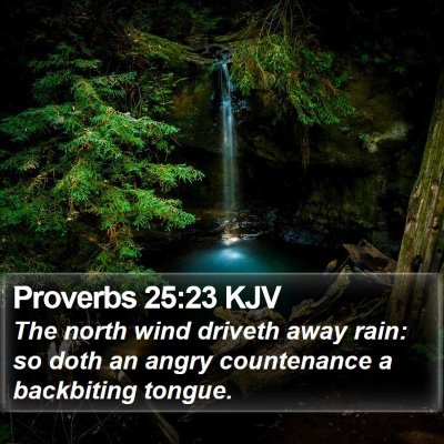 Proverbs 25:23 KJV Bible Verse Image