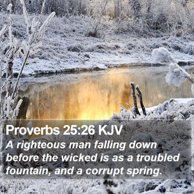Proverbs 25:26 KJV Bible Verse Image