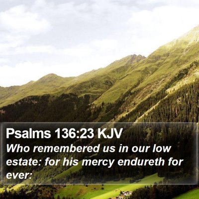 Psalms 136:23 KJV Bible Verse Image