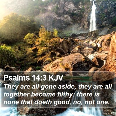 Psalms 14:3 KJV Bible Verse Image