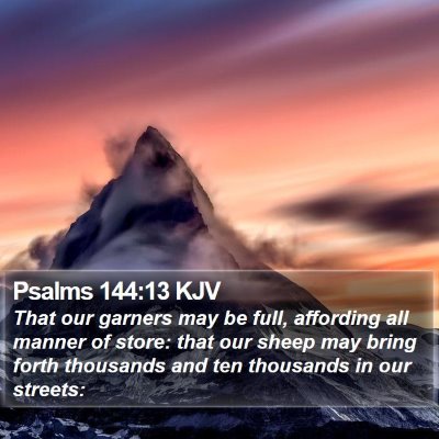 Psalms 144:13 KJV Bible Verse Image