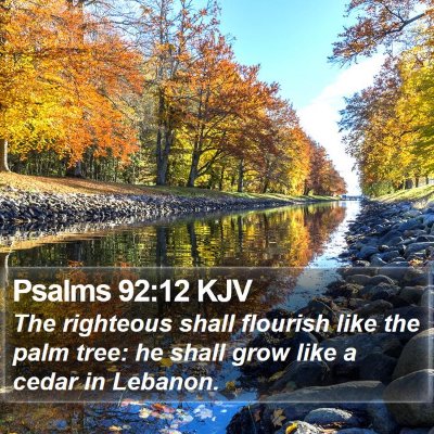 Psalms 92:12 KJV Bible Verse Image
