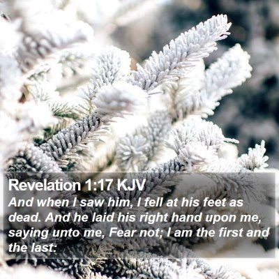Revelation 1:17 KJV Bible Verse Image