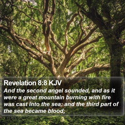 Revelation 8:8 KJV Bible Verse Image