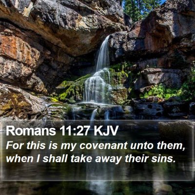 Romans 11:27 KJV Bible Verse Image