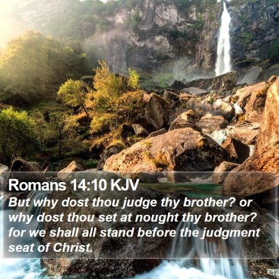 Romans 14:10 KJV Bible Verse Image