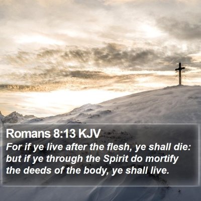 Romans 8:13 KJV Bible Verse Image