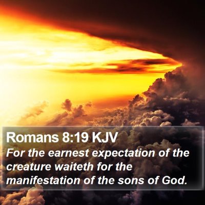 Romans 8:19 KJV Bible Verse Image