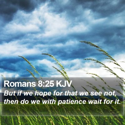 Romans 8:25 KJV Bible Verse Image
