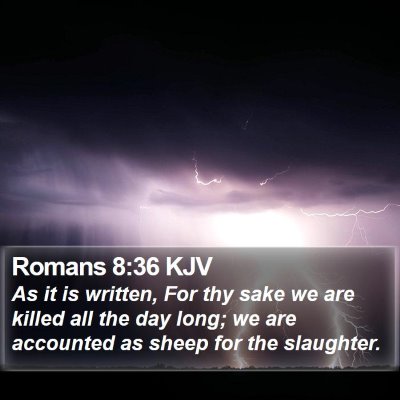 Romans 8:36 KJV Bible Verse Image