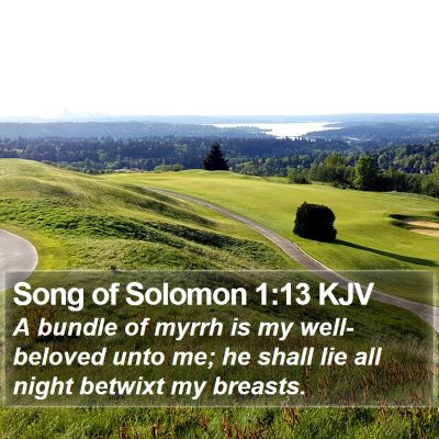Song of Solomon 1:13 KJV Bible Verse Image