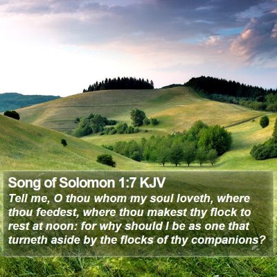 Song of Solomon 1:7 KJV Bible Verse Image