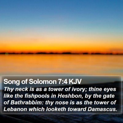 Song of Solomon 7:4 KJV Bible Verse Image