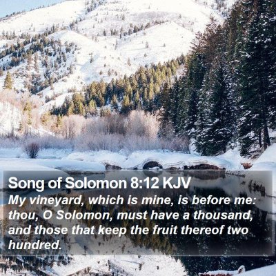 Song of Solomon 8:12 KJV Bible Verse Image
