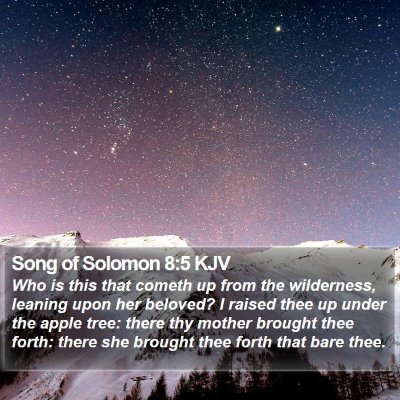 Song of Solomon 8:5 KJV Bible Verse Image