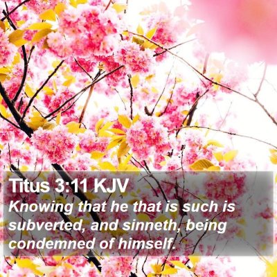 Titus 3:11 KJV Bible Verse Image