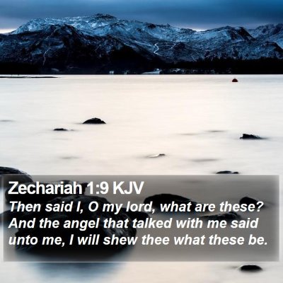 Zechariah 1:9 KJV Bible Verse Image