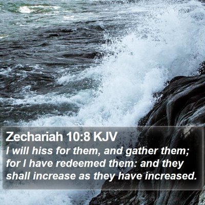 Zechariah 10:8 KJV Bible Verse Image