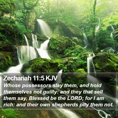 Zechariah 11:5 KJV Bible Verse Image
