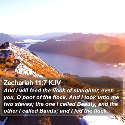 Zechariah 11:7 KJV Bible Verse Image
