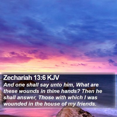 Zechariah 13:6 KJV Bible Verse Image
