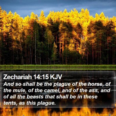Zechariah 14:15 KJV Bible Verse Image