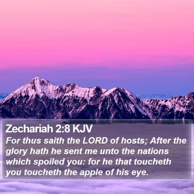 Zechariah 2:8 KJV Bible Verse Image