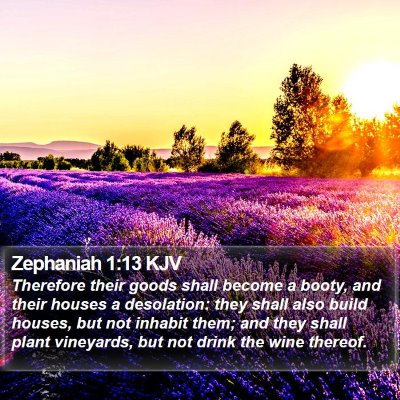 Zephaniah 1:13 KJV Bible Verse Image